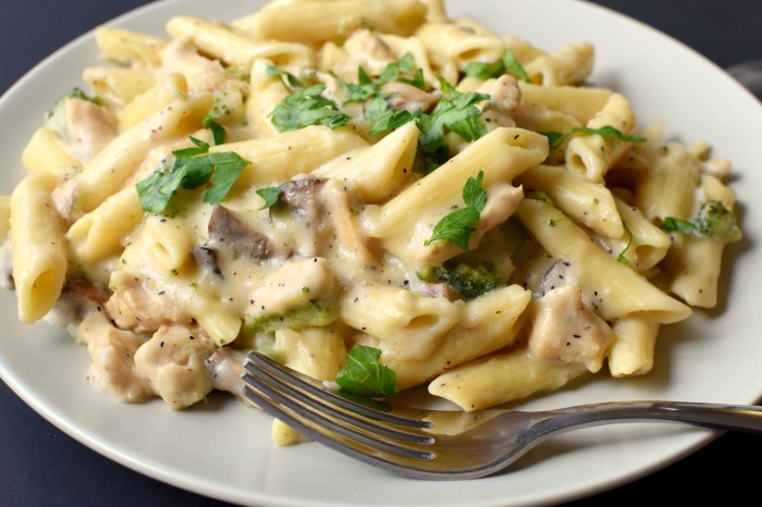 Best pasta recipes white sauce